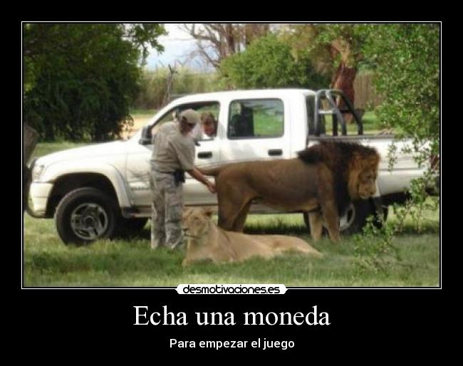 carteles khhkjhk desmotivaciones