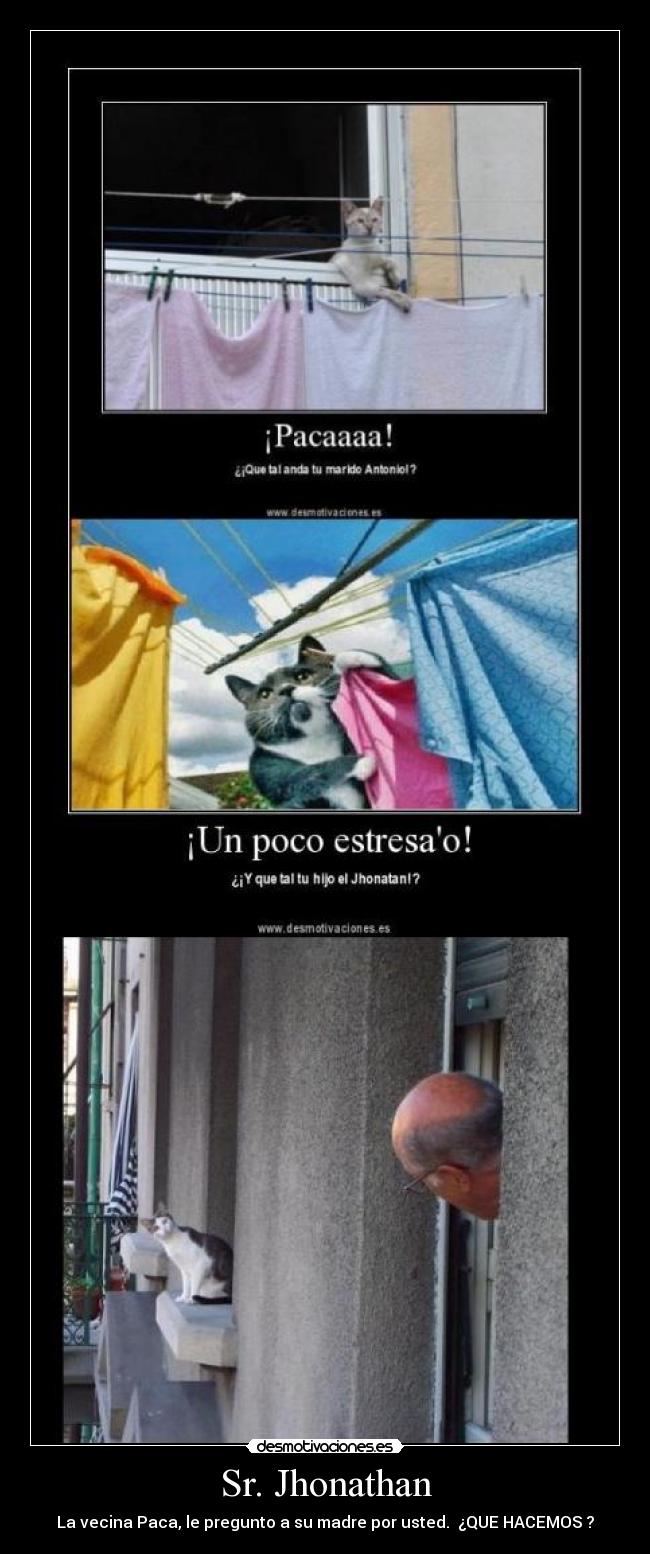 carteles vecinachismechistesaberresponderpacajhonatan desmotivaciones