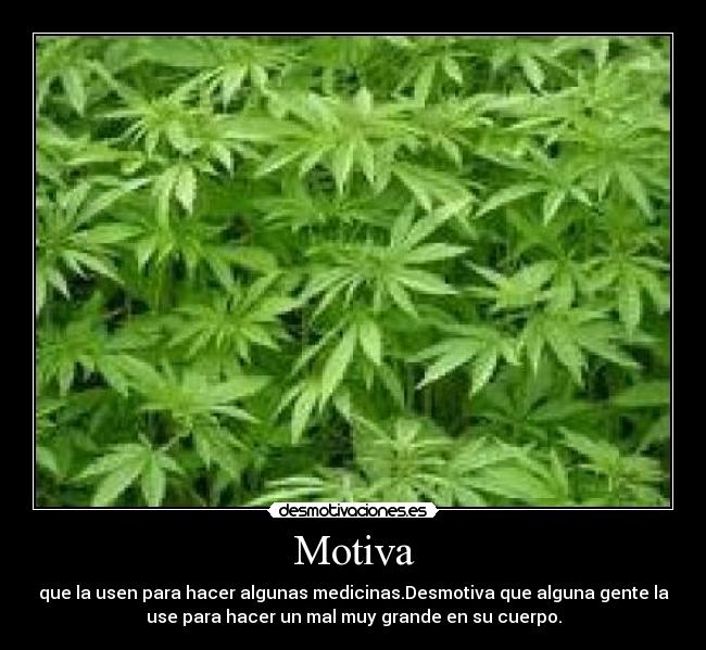 Motiva - que la usen para hacer algunas medicinas.Desmotiva que alguna gente la
use para hacer un mal muy grande en su cuerpo.