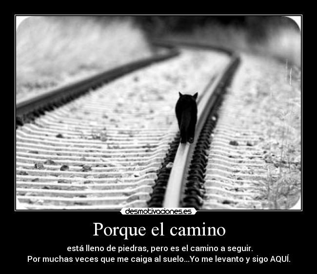 Porque el camino - está lleno de piedras, pero es el camino a seguir.
Por muchas veces que me caiga al suelo...Yo me levanto y sigo AQUÍ.