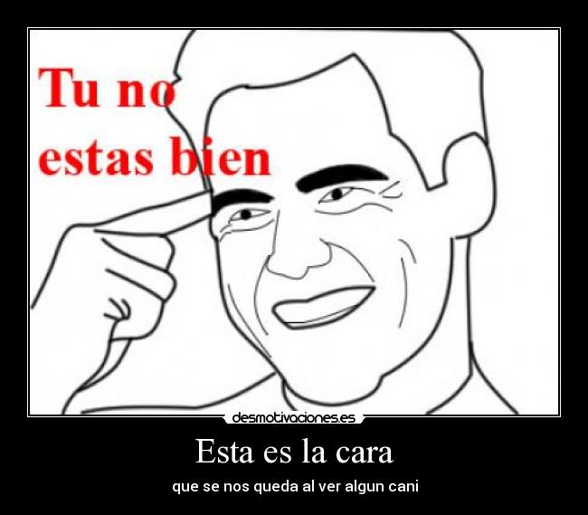 Esta es la cara - que se nos queda al ver algun cani