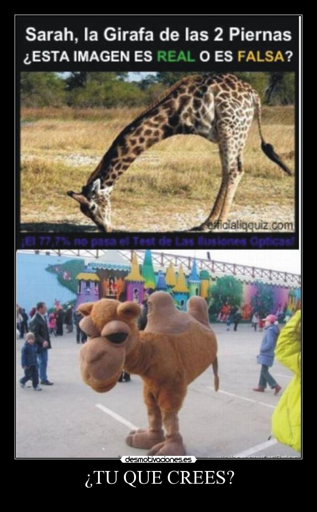 ¿TU QUE CREES? - 
