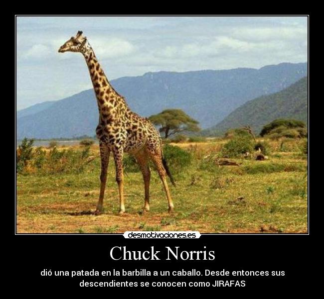 Chuck Norris - 