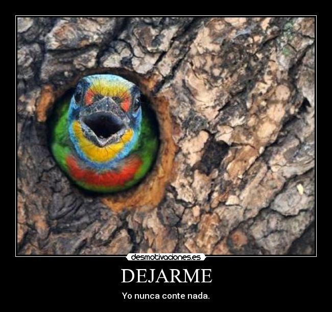 DEJARME - 