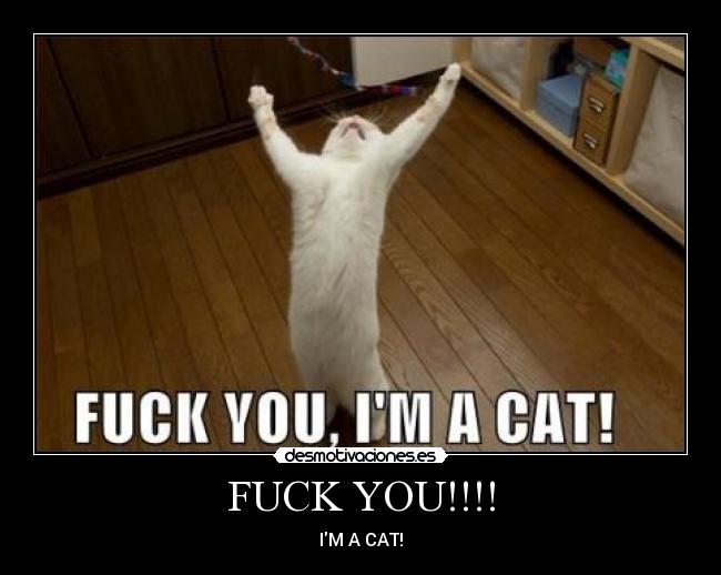 FUCK YOU!!!! - 