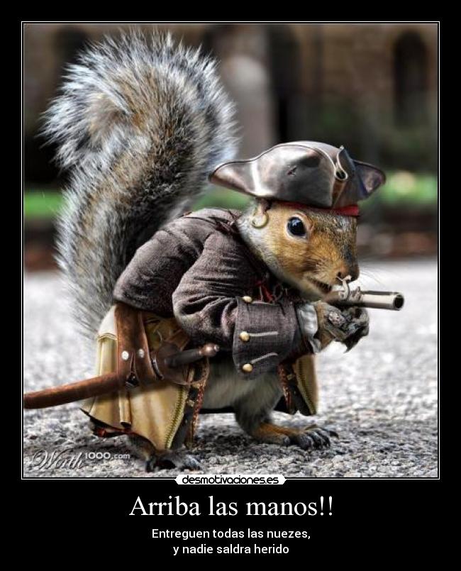 carteles ardilla pirata desmotivaciones