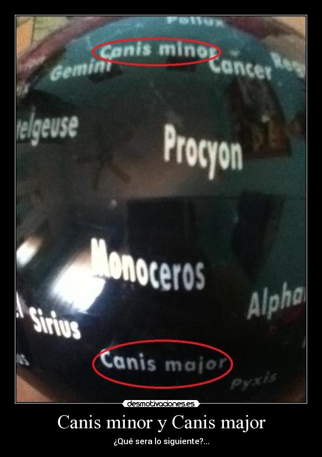 Canis minor y Canis major - ¿Qué sera lo siguiente?...