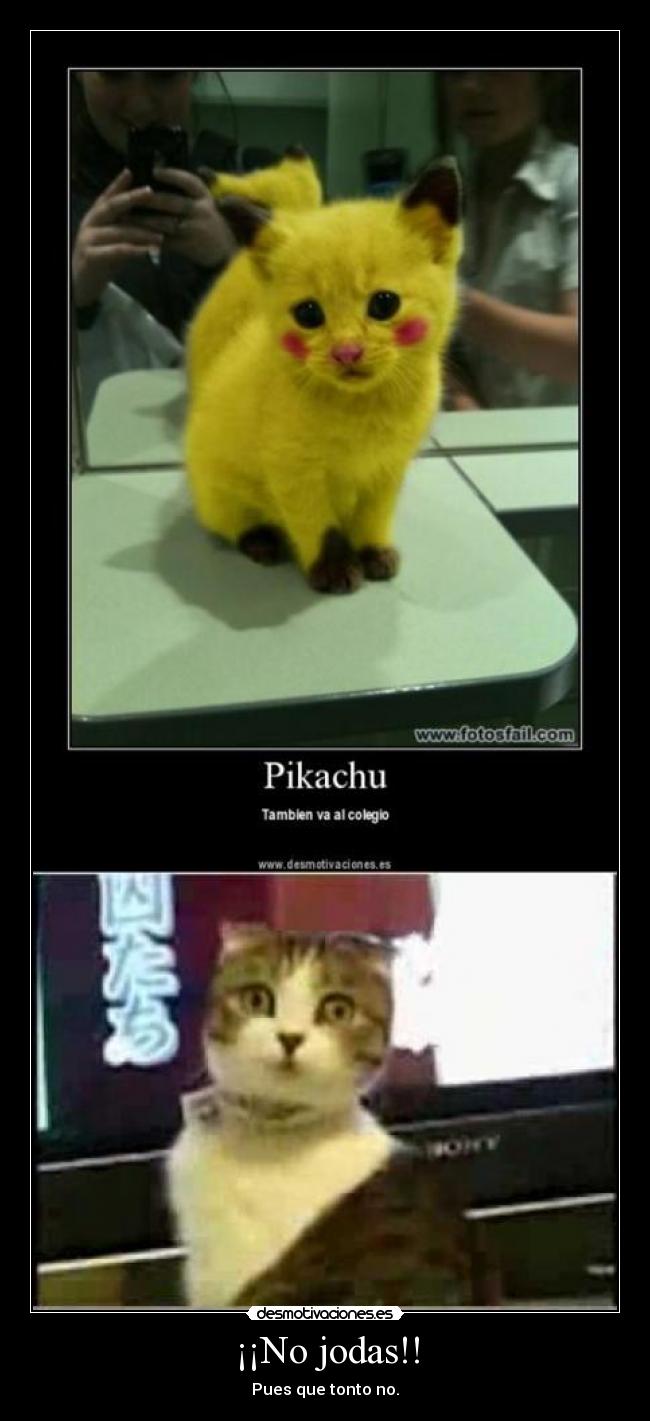 carteles pikachu desmotivaciones