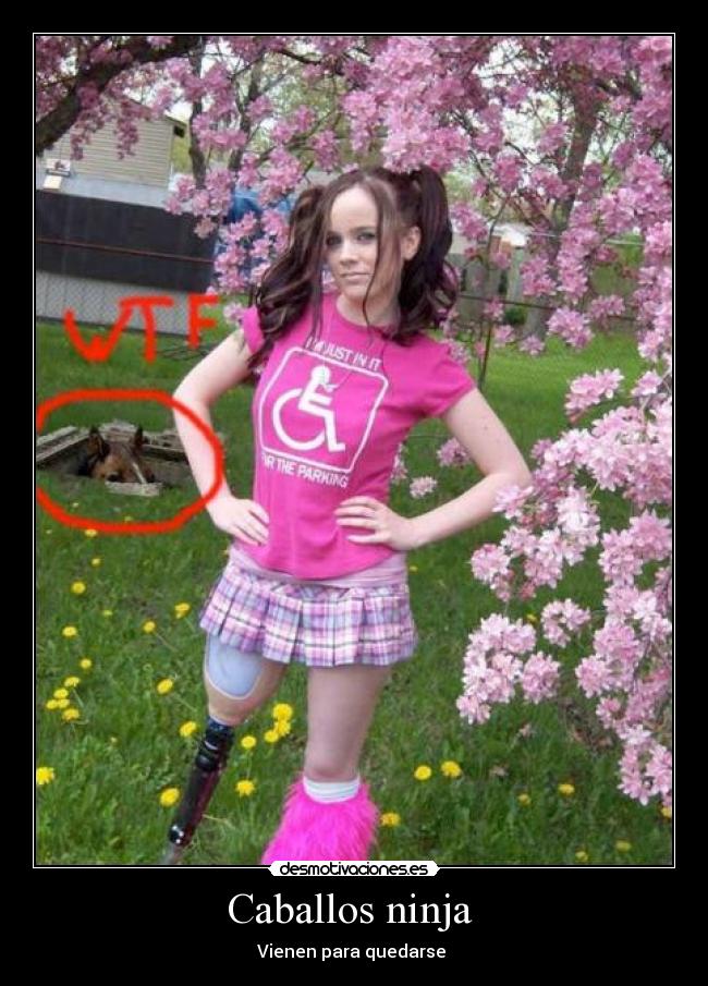 Caballos ninja -