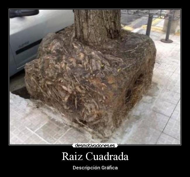 Raiz Cuadrada -