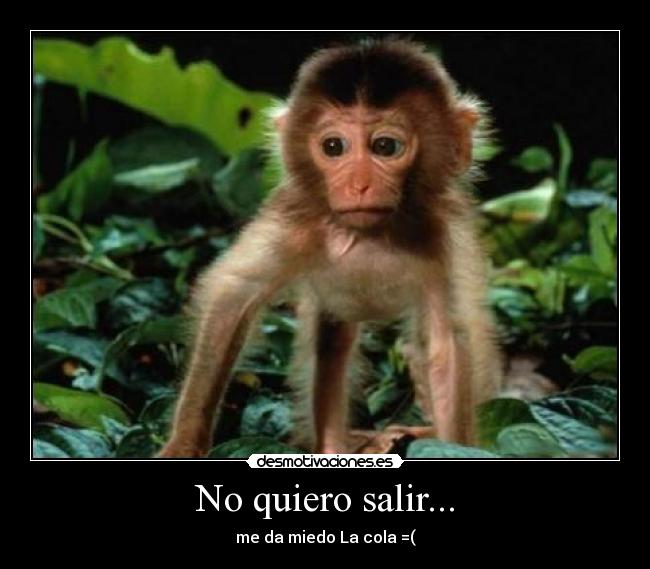No quiero salir... - 