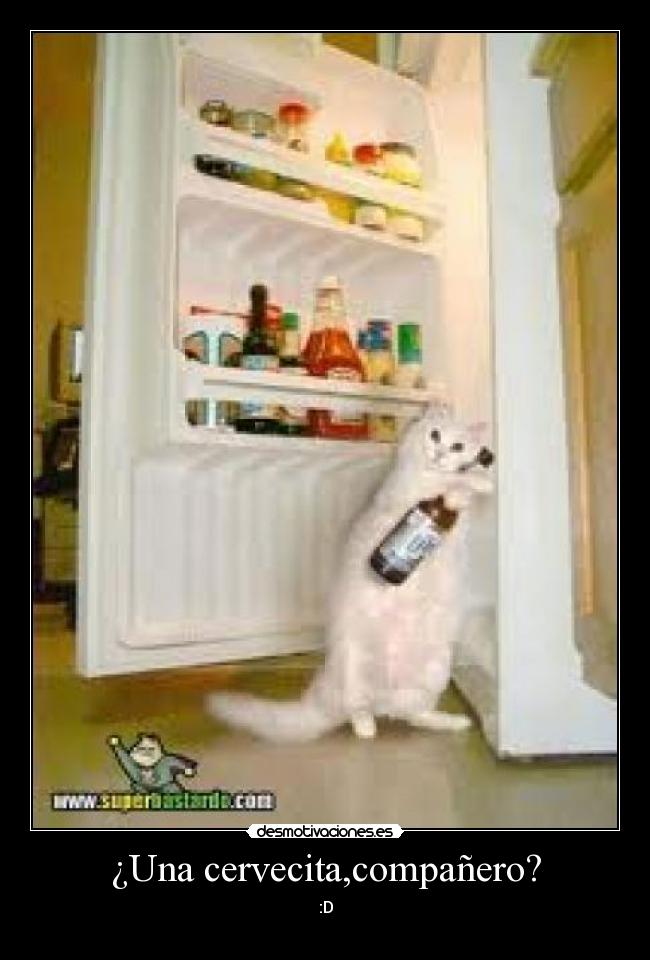 ¿Una cervecita,compañero? -