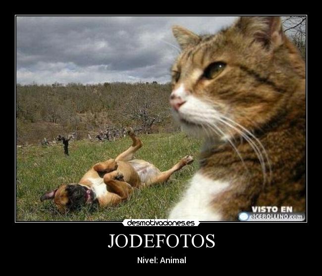 JODEFOTOS - 