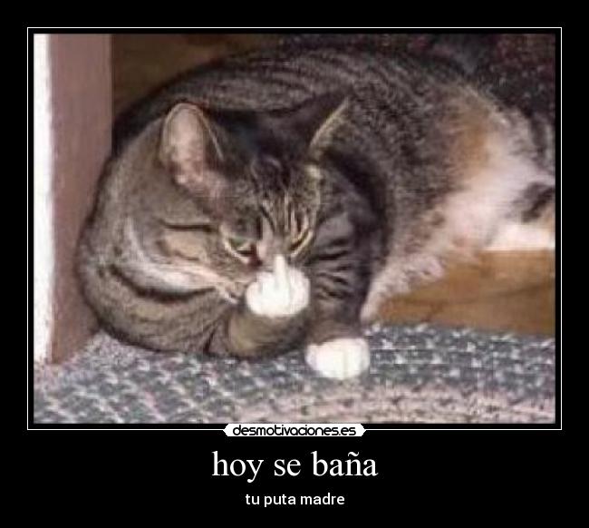 hoy se baña - 