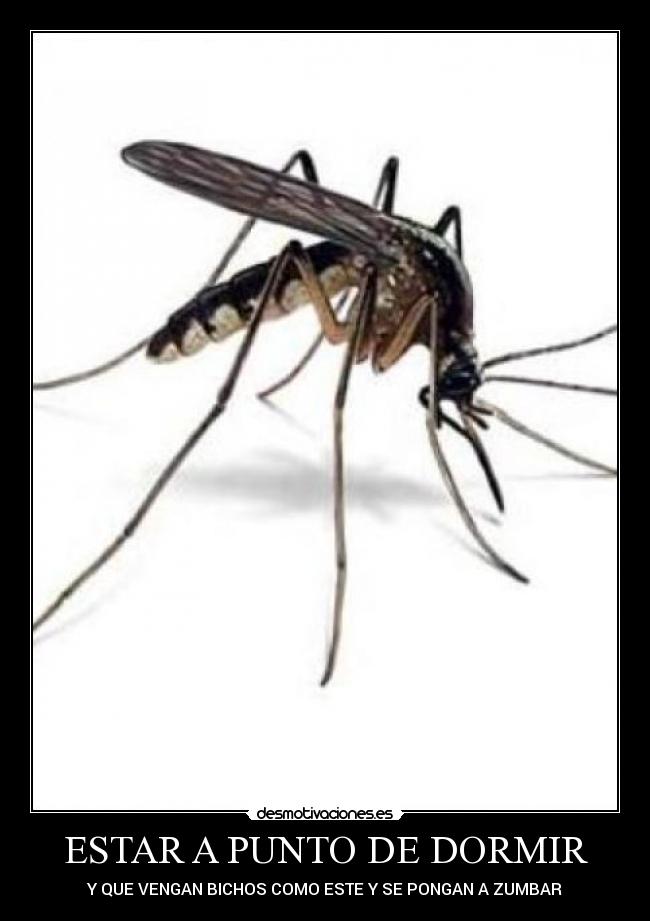 carteles dormir desmotivaciones