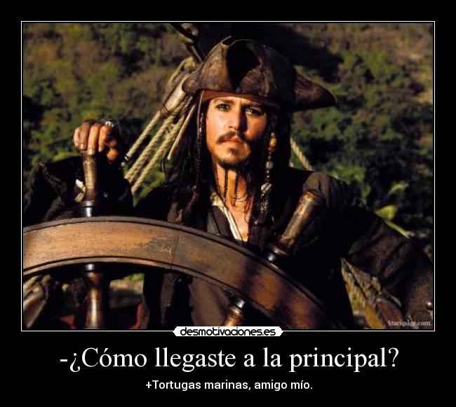 -¿Cómo llegaste a la principal? - +Tortugas marinas, amigo mío.