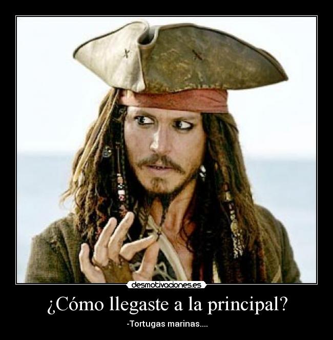 carteles hola desmotivaciones