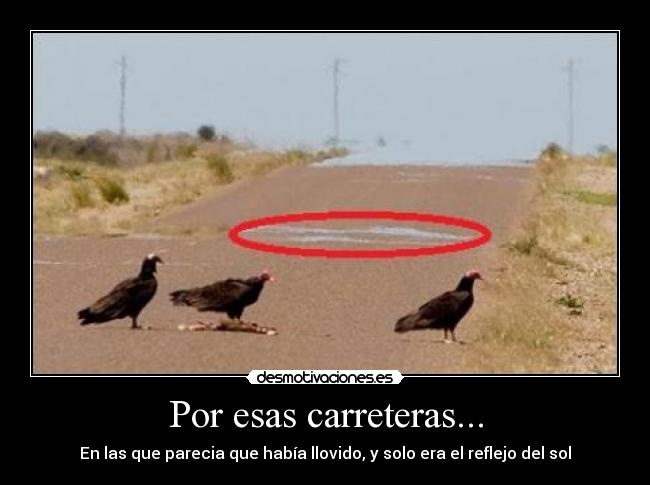 Por esas carreteras... - En las que parecia que había llovido, y solo era el reflejo del sol