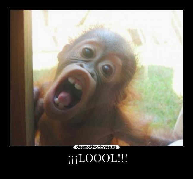 ¡¡¡LOOOL!!! -