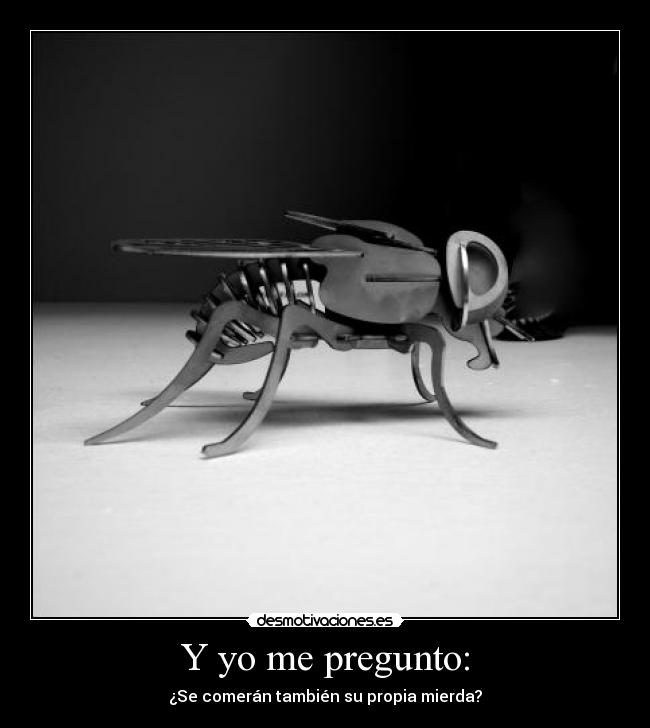 carteles todos desmotivaciones