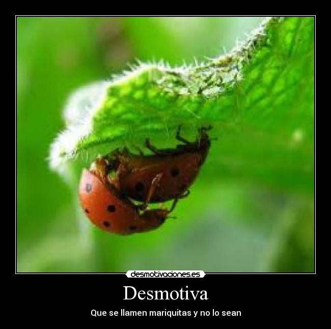 Desmotiva -