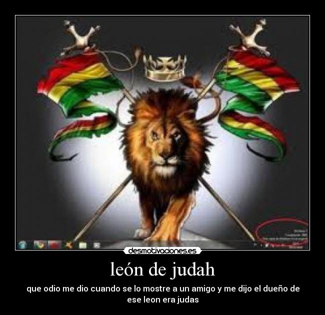 león de judah - 
