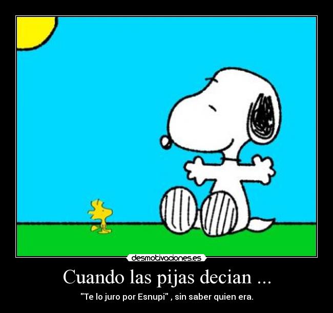 Cuando las pijas decian ... -