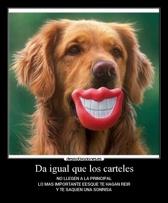 Da igual que los carteles -