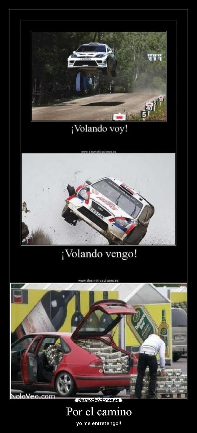 carteles volando voy volando vengo por camino entretengo desmotivaciones