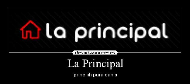 La Principal - princiiih para canis