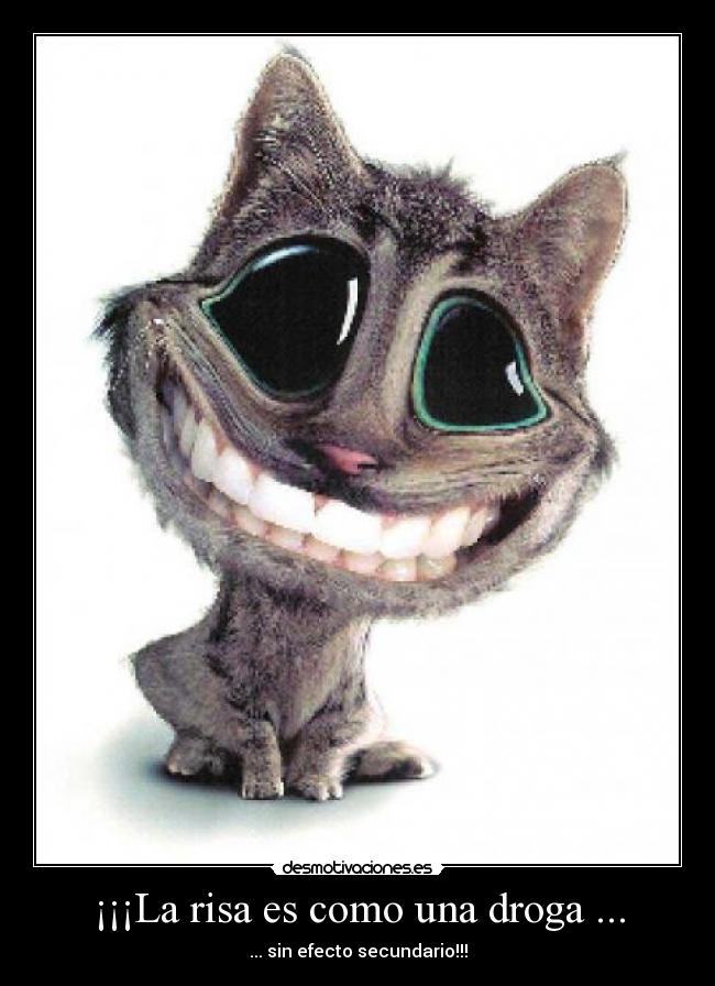 ¡¡¡La risa es como una droga ... - ... sin efecto secundario!!!