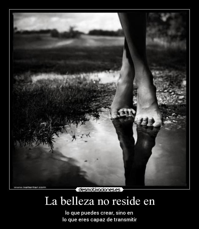 La belleza no reside en - 