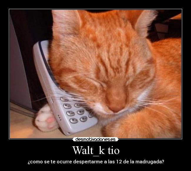 Walt_k tio - ¿como se te ocurre despertarme a las 12 de la madrugada?