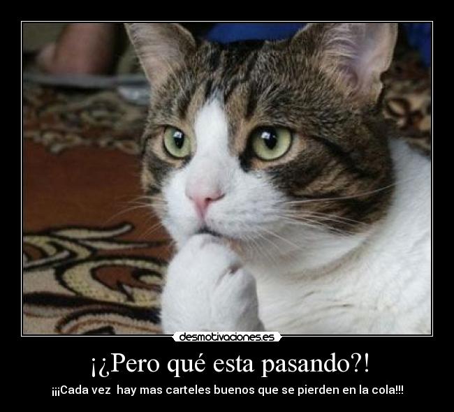 ¡¿Pero qué esta pasando?! -