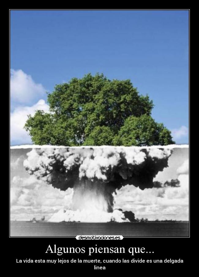 carteles algunos desmotivaciones