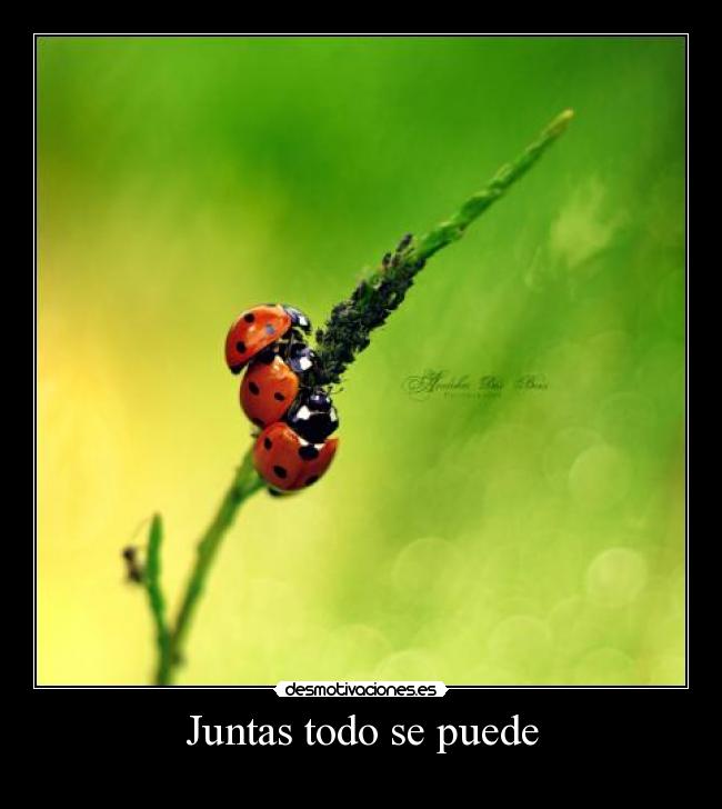 Juntas todo se puede -