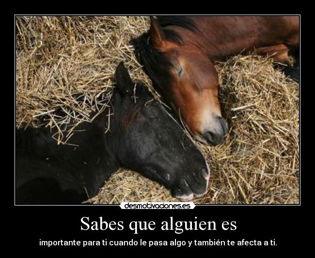 Sabes que alguien es - 