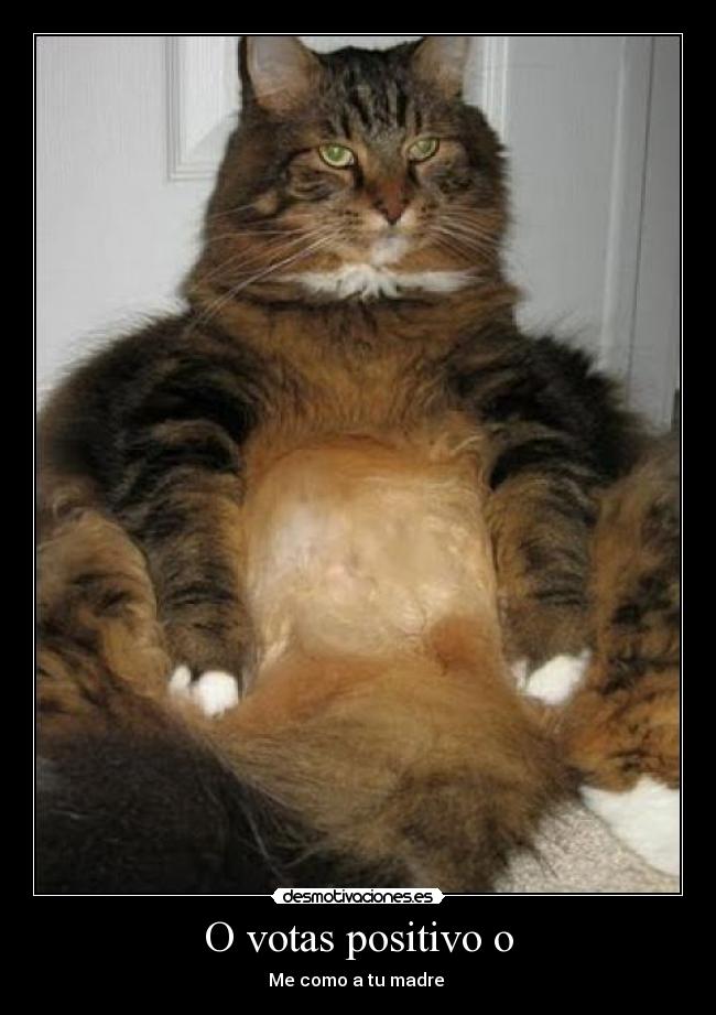 O votas positivo o - 