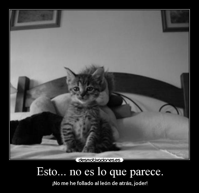 Esto... no es lo que parece. - ¡No me he follado al león de atrás, joder!