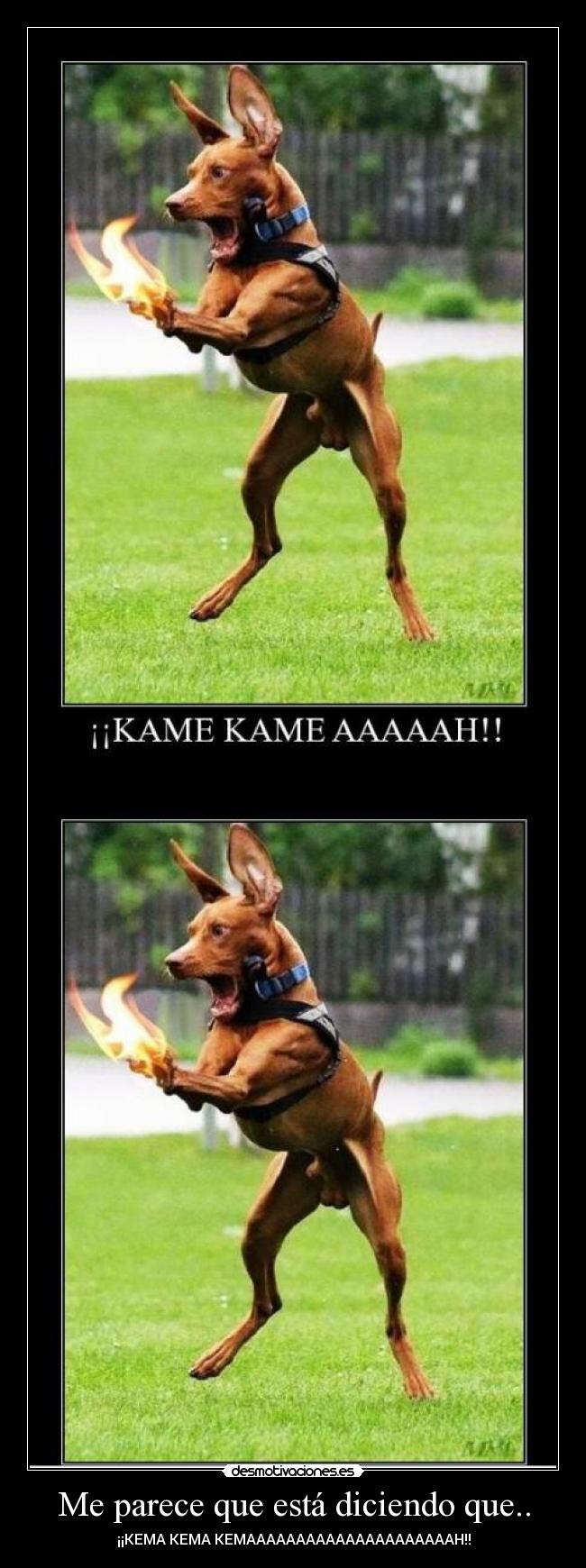 Me parece que está diciendo que.. -