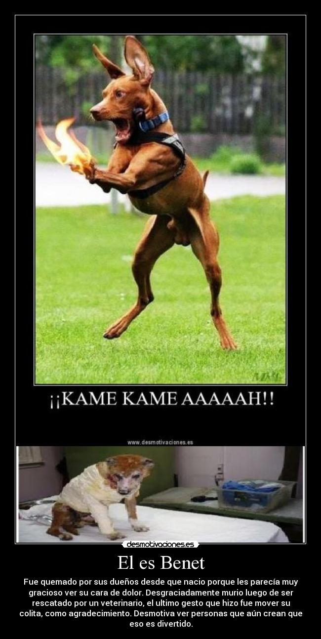 El es Benet -