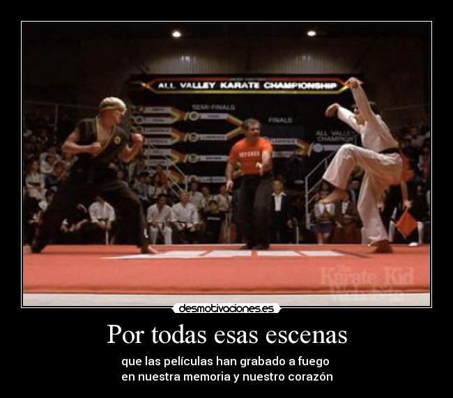 carteles karate kid peliculas escenas miyagi torneo final desmotivaciones