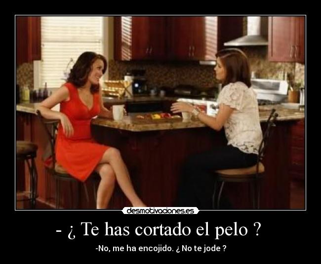 carteles monichr desmotivaciones