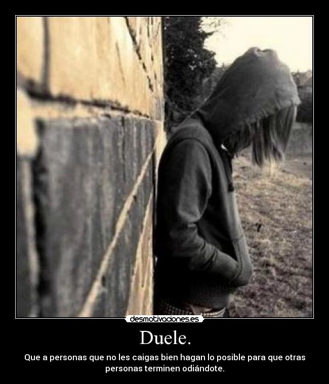 Duele. - Que a personas que no les caigas bien hagan lo posible para que otras
personas terminen odiándote.