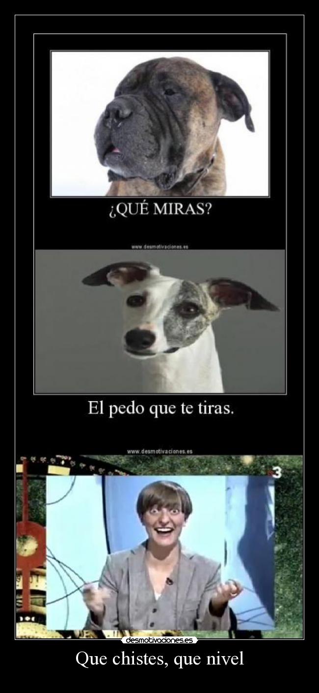 Que chistes, que nivel -