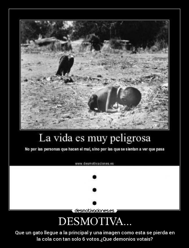 DESMOTIVA... -