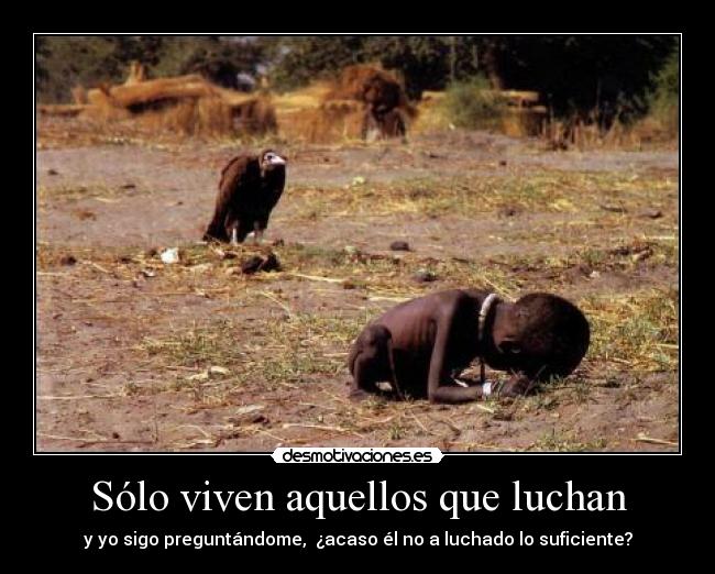 Sólo viven aquellos que luchan -