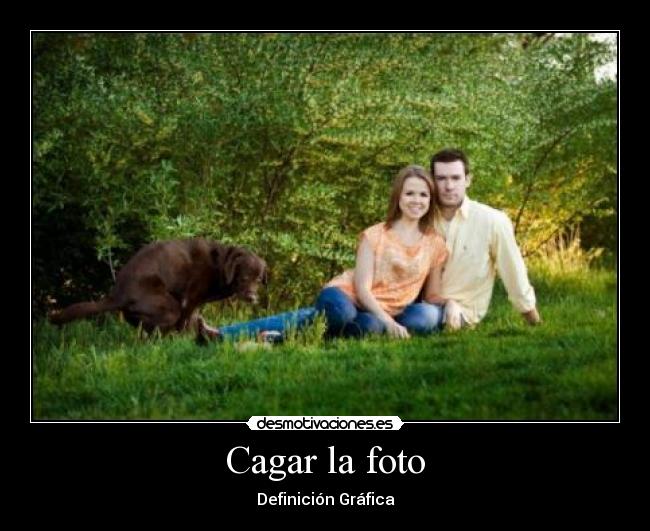 carteles cagar foto desmotivaciones