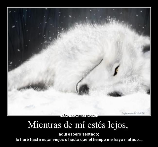 Mientras de mí estés lejos, -