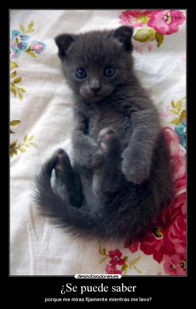 ¿Se puede saber - porque me miras fijamente mientras me lavo?